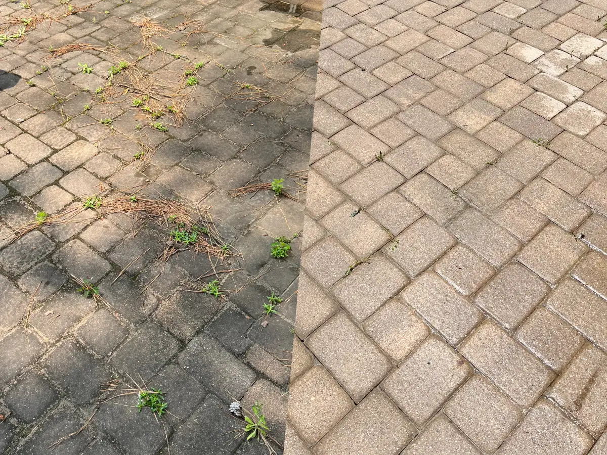 Before and after - patio pavers pressure washing in Atlanta